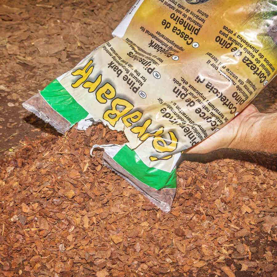 JBL Terra Bark Substrato de casca de pinheiro para terr&aacute;rios , , large Imagem n&uacute;mero 12